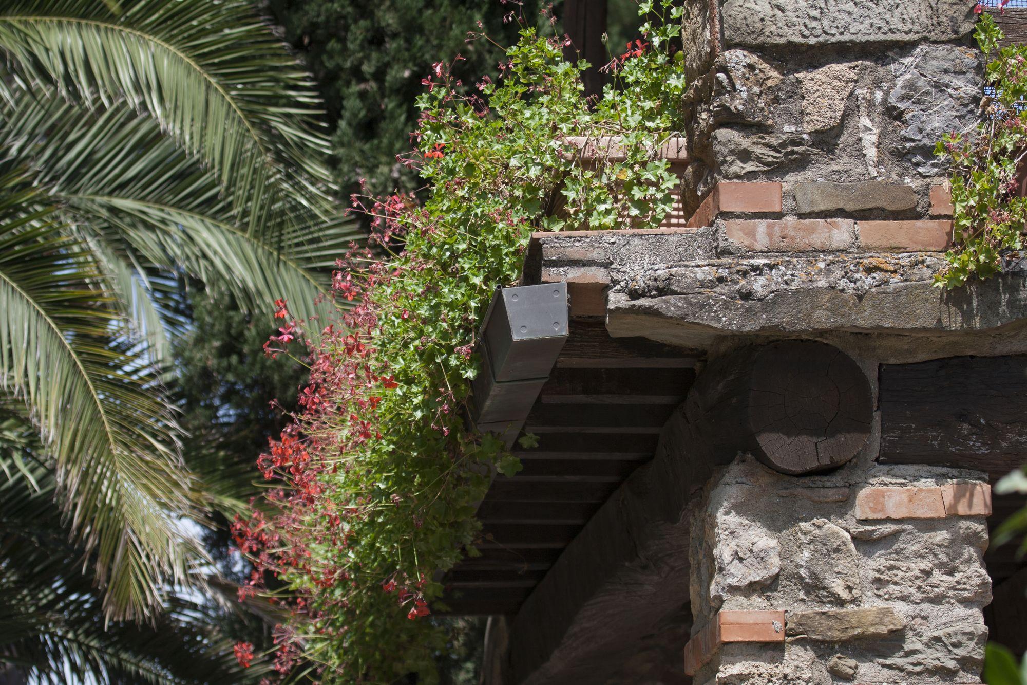 Tenuta Aronne Massa Marittima Extérieur photo