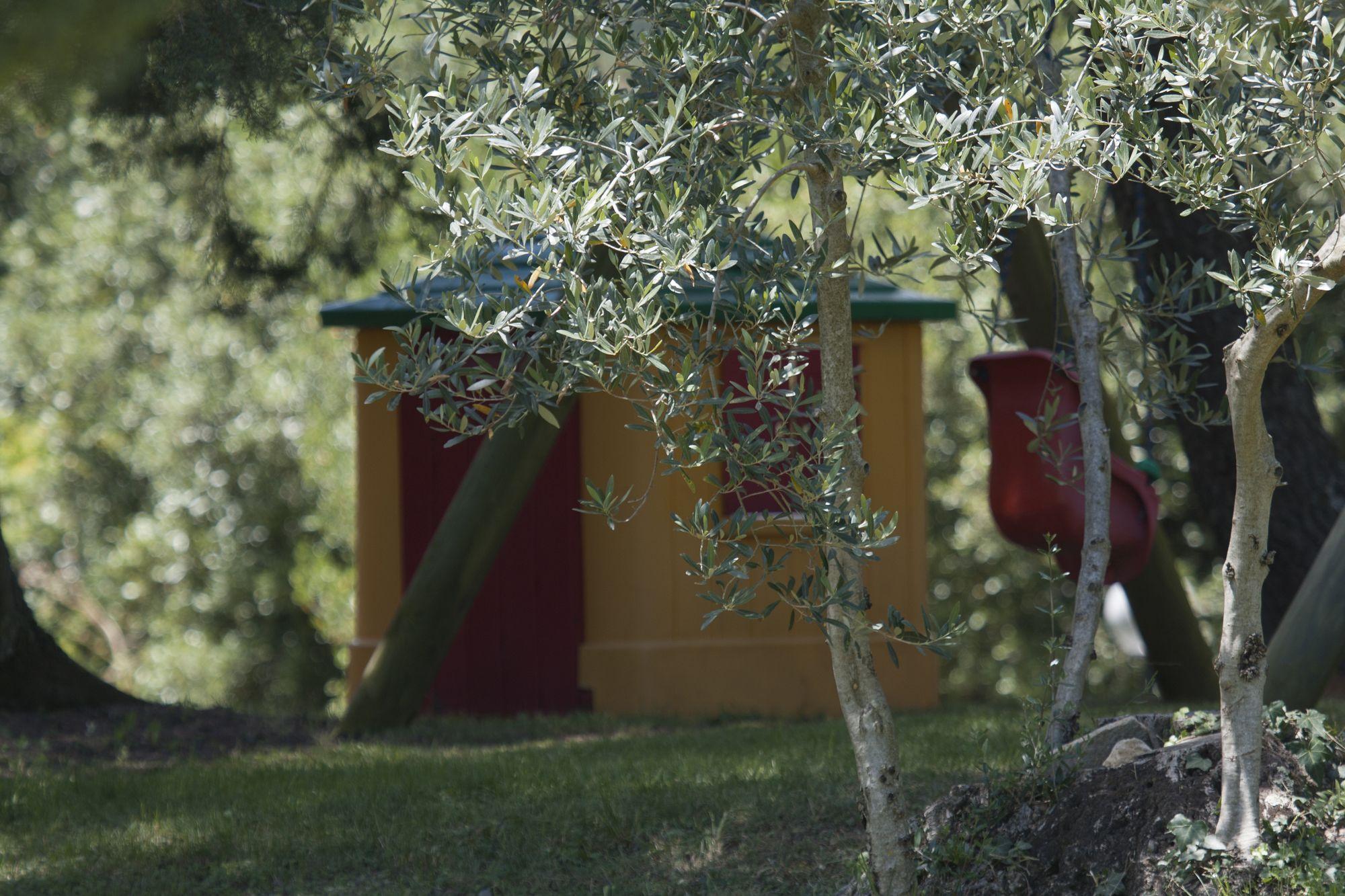 Tenuta Aronne Massa Marittima Extérieur photo