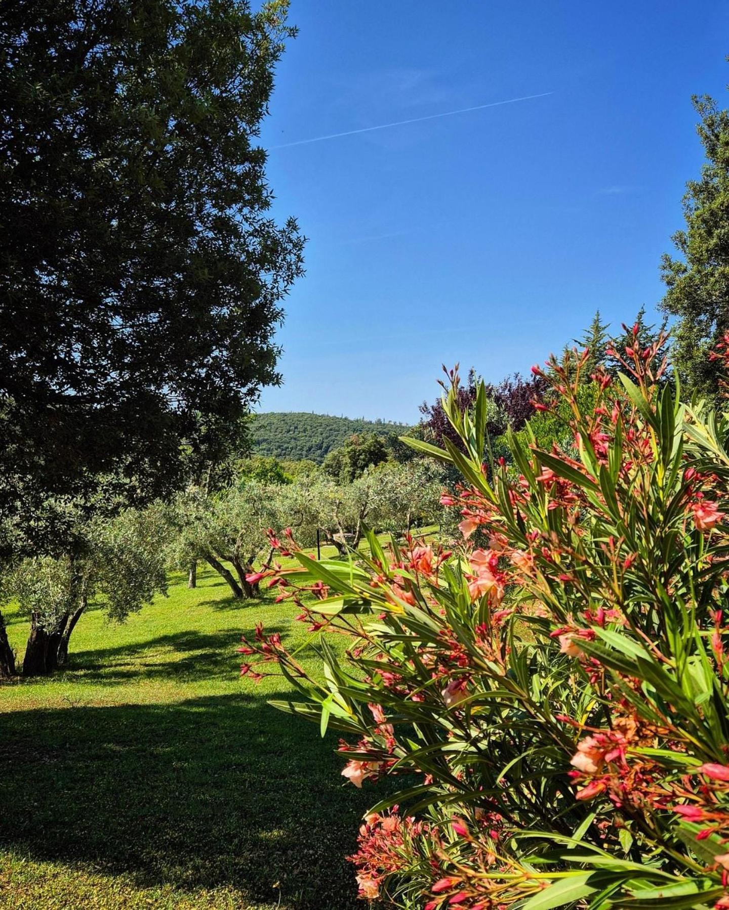 Tenuta Aronne Massa Marittima Extérieur photo