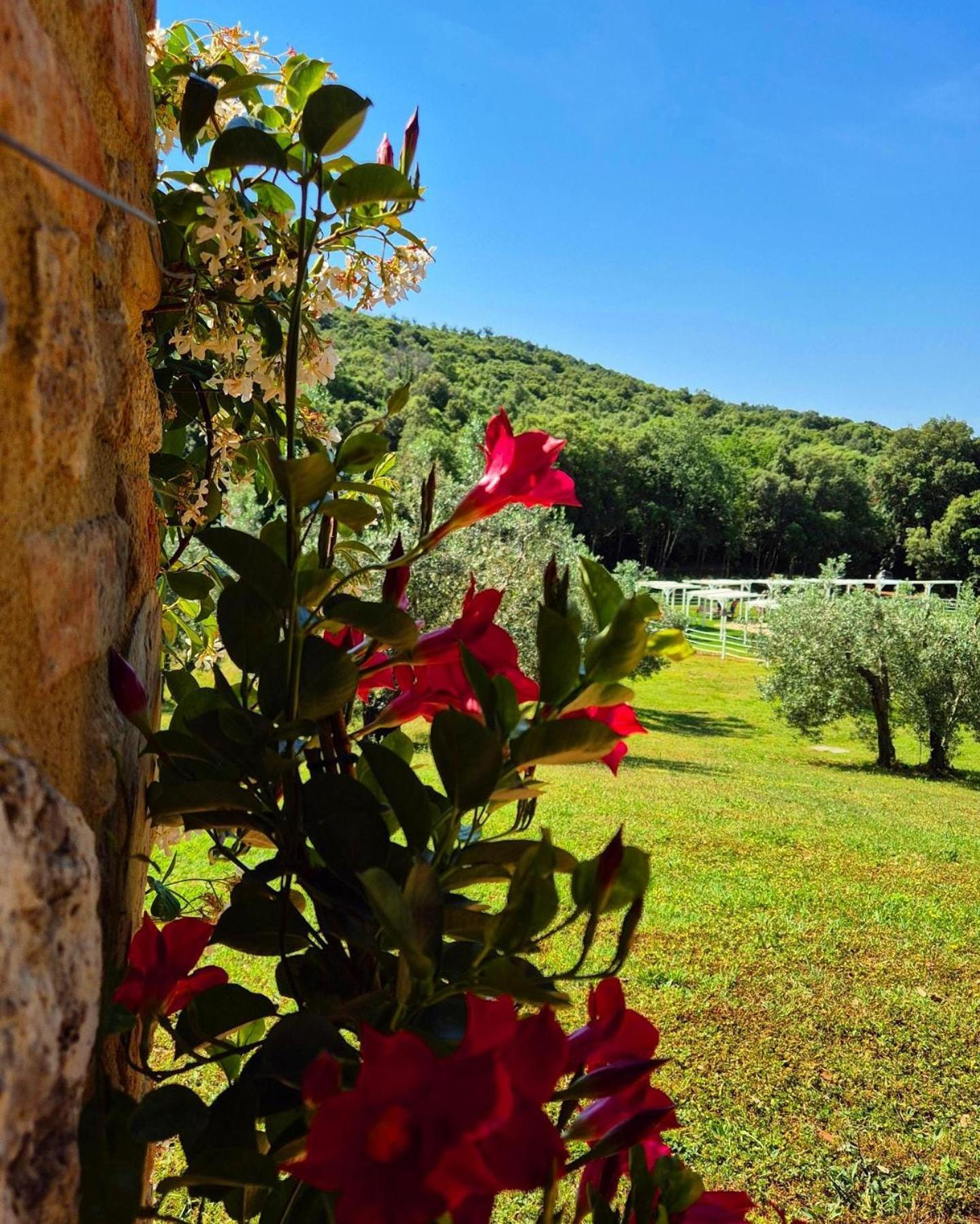 Tenuta Aronne Massa Marittima Extérieur photo